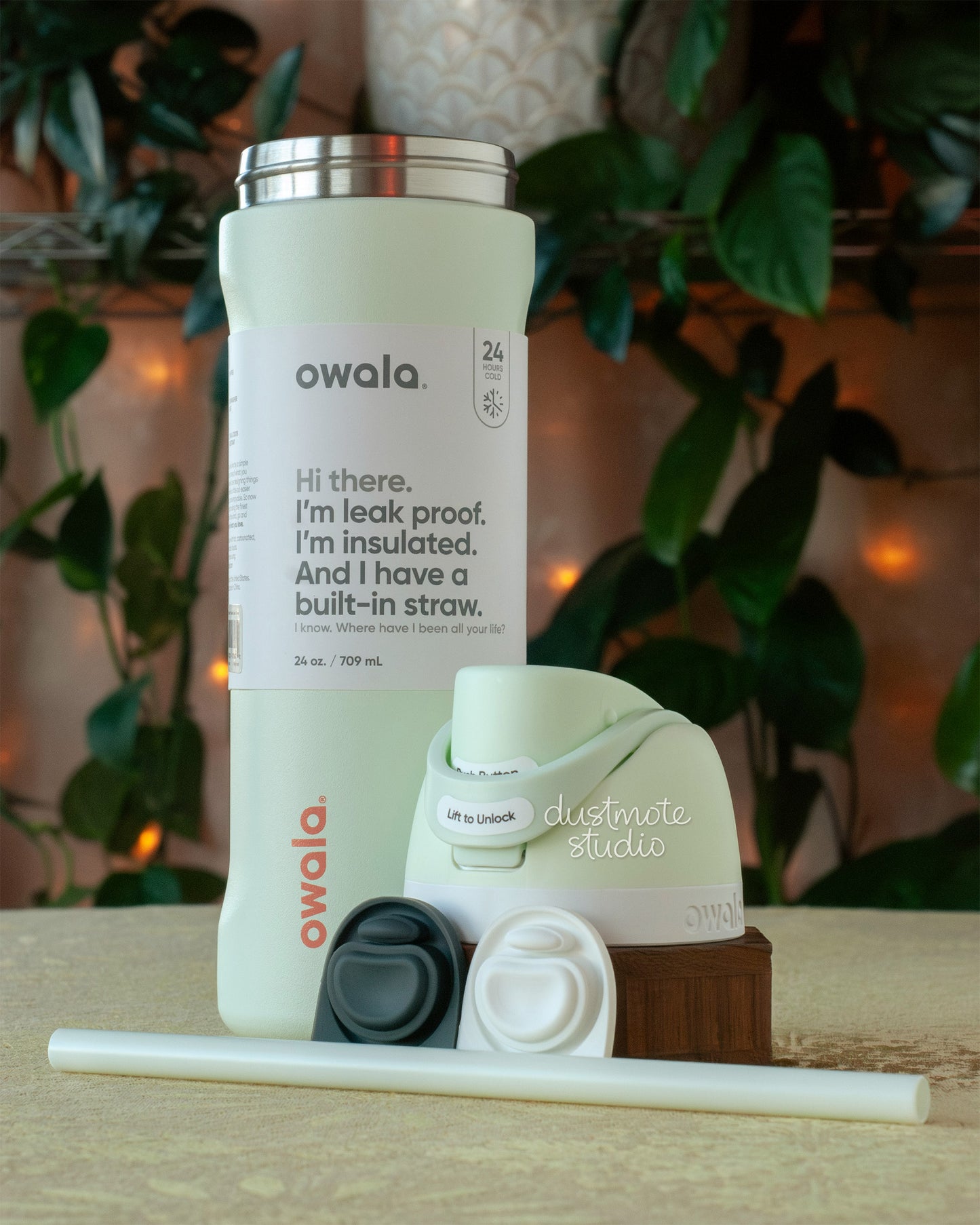 First Light ⟡ 24oz