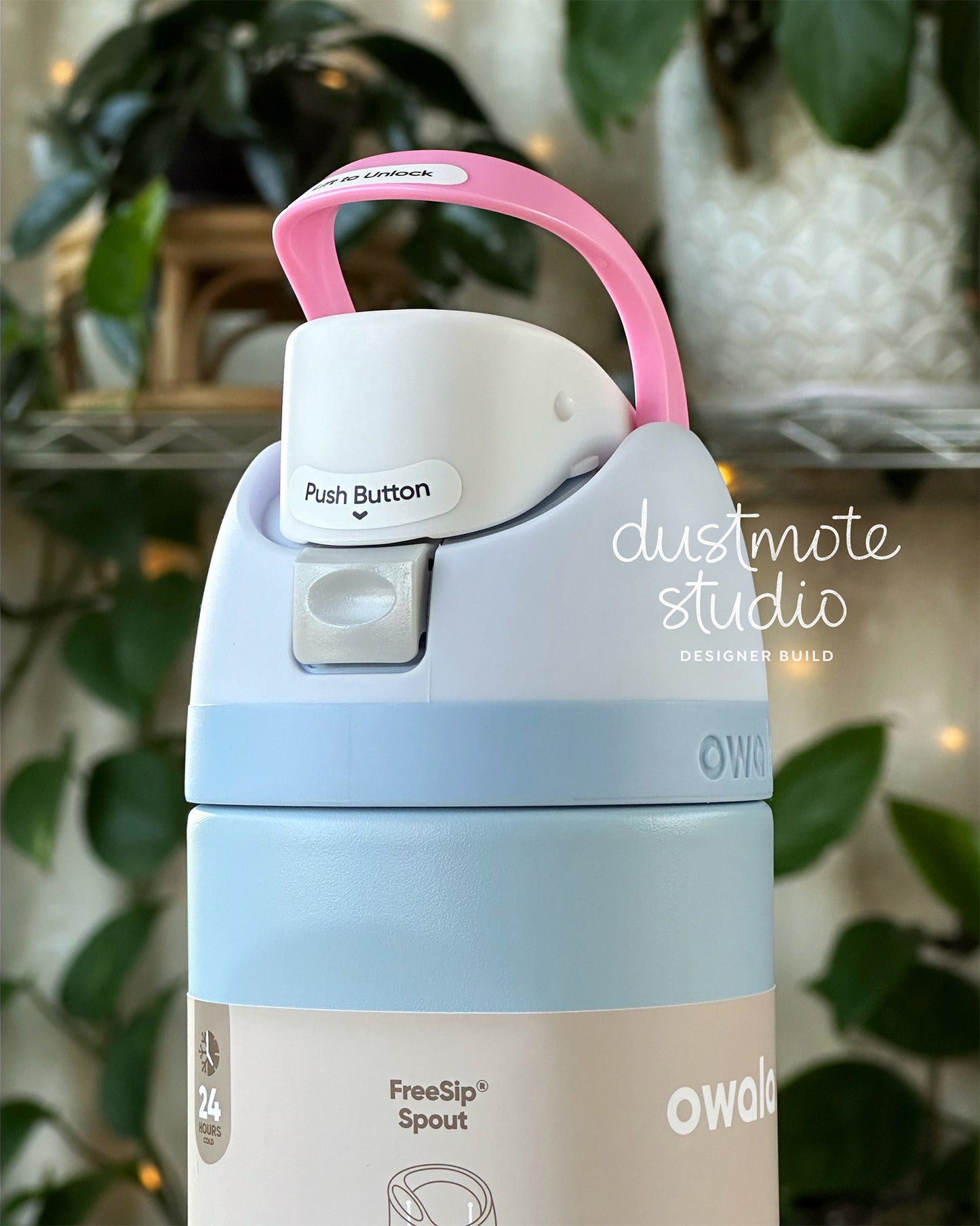 Hatchling ⊹ 24oz