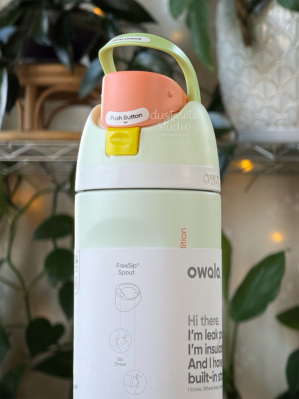 Honeydew ⟡ 24oz