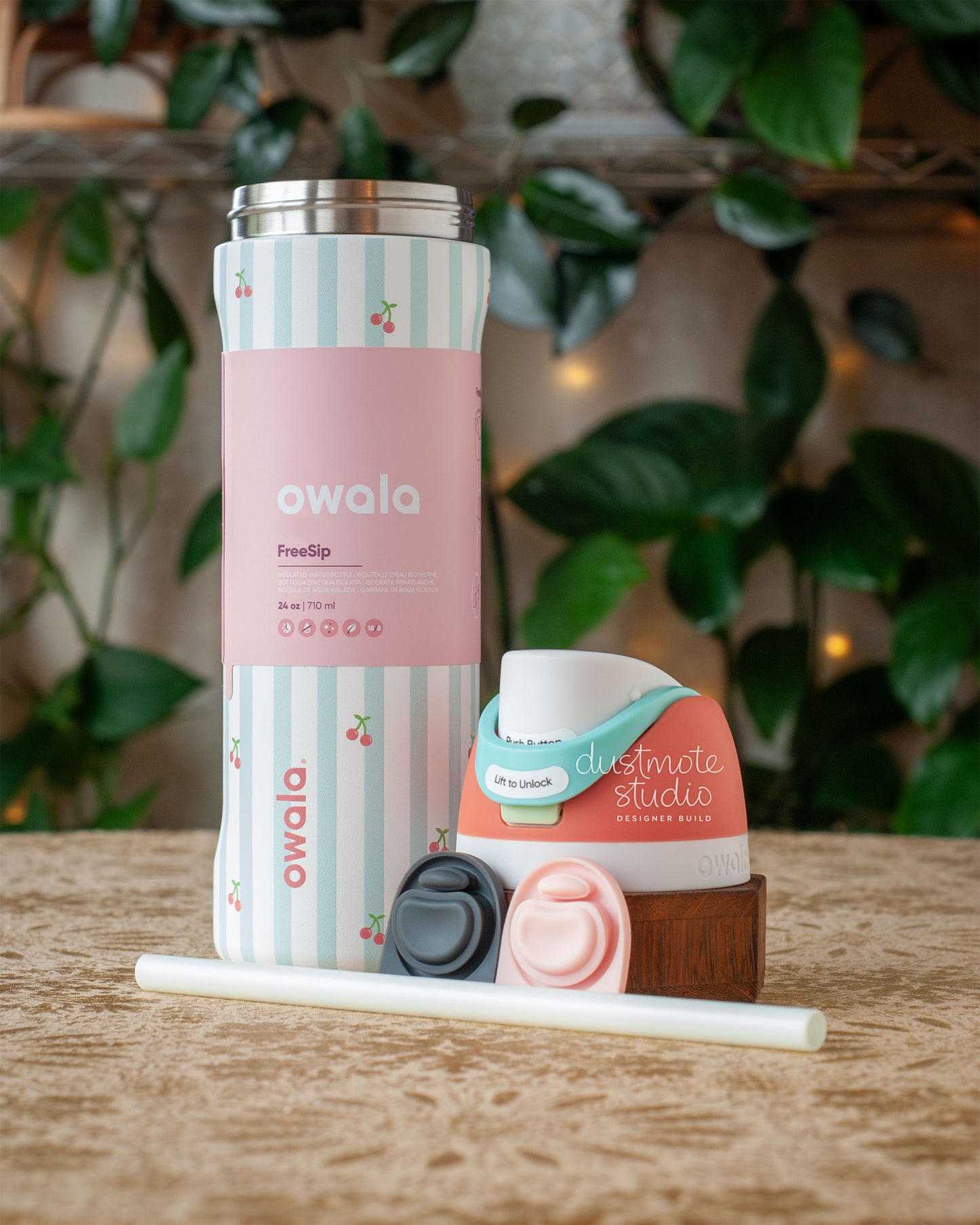 Pillow Fight Edit ⟡ 24oz