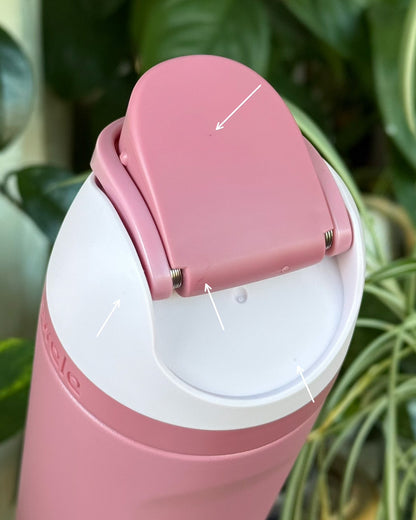 Pressed Petals ⟡ 24oz