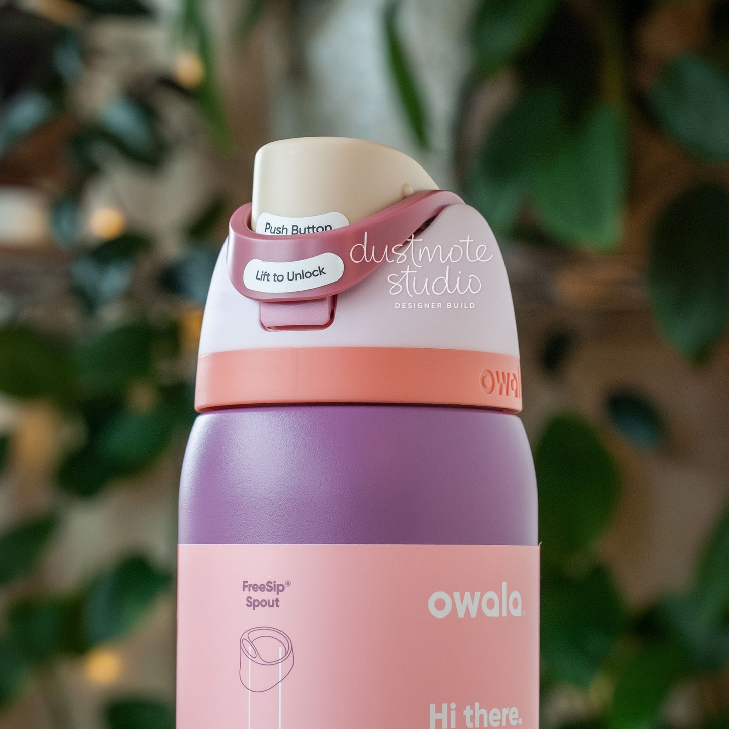 Sugar Plum ⟡ 32oz