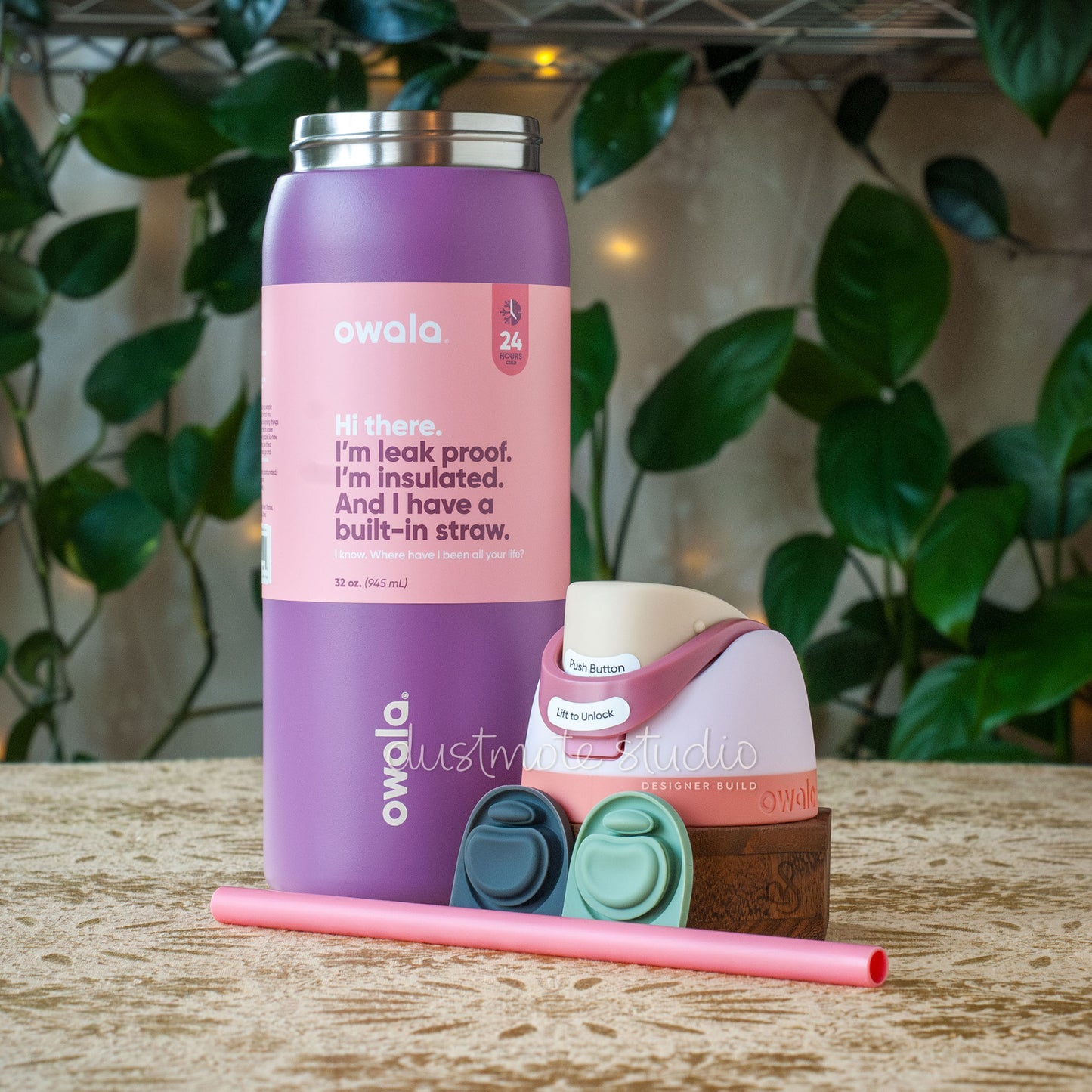 Sugar Plum ⟡ 32oz